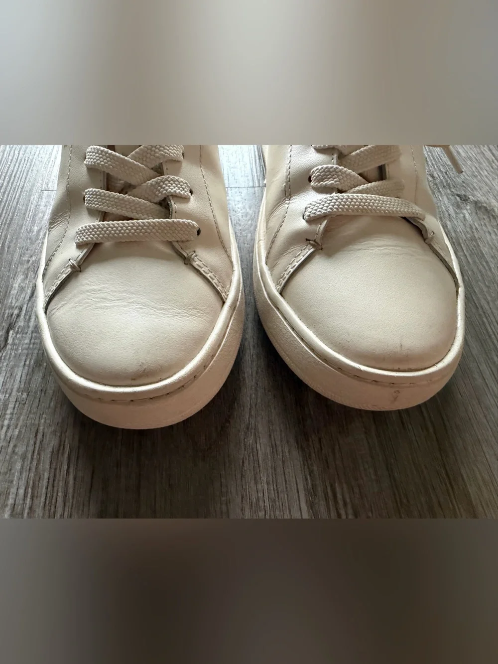 Coach classic cream